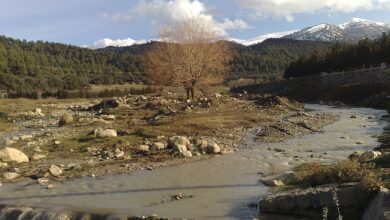 الحظيرة الوطنية بلزمة