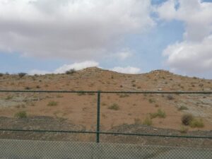 بدع بنت سعود