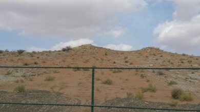 بدع بنت سعود