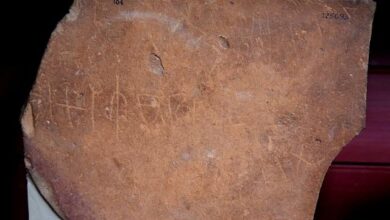 النقوش الصخرية في حرة الشام