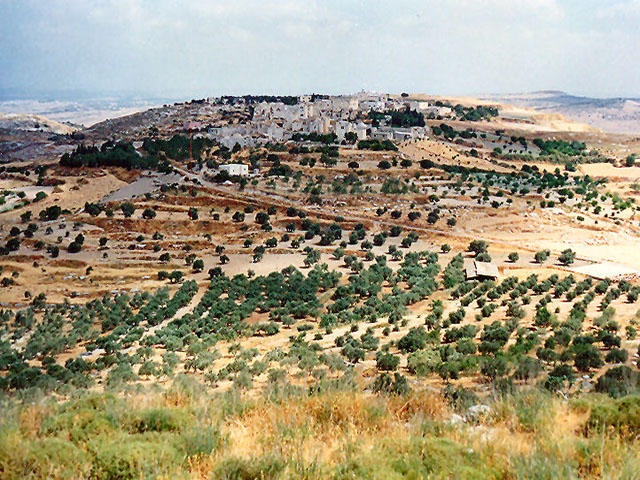 كور