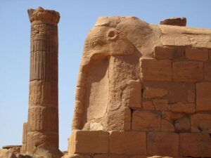 المصورات الصفراء