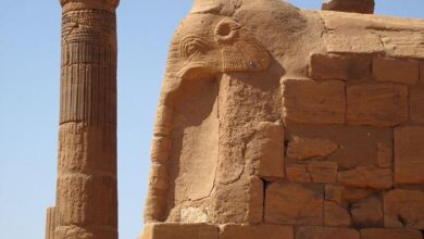 المصورات الصفراء