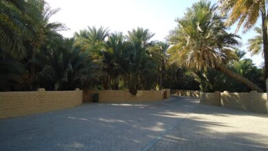 منطقة الواحات في العين