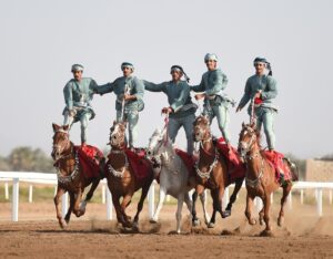 عرضة الخيل والإبل
