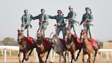 عرضة الخيل والإبل