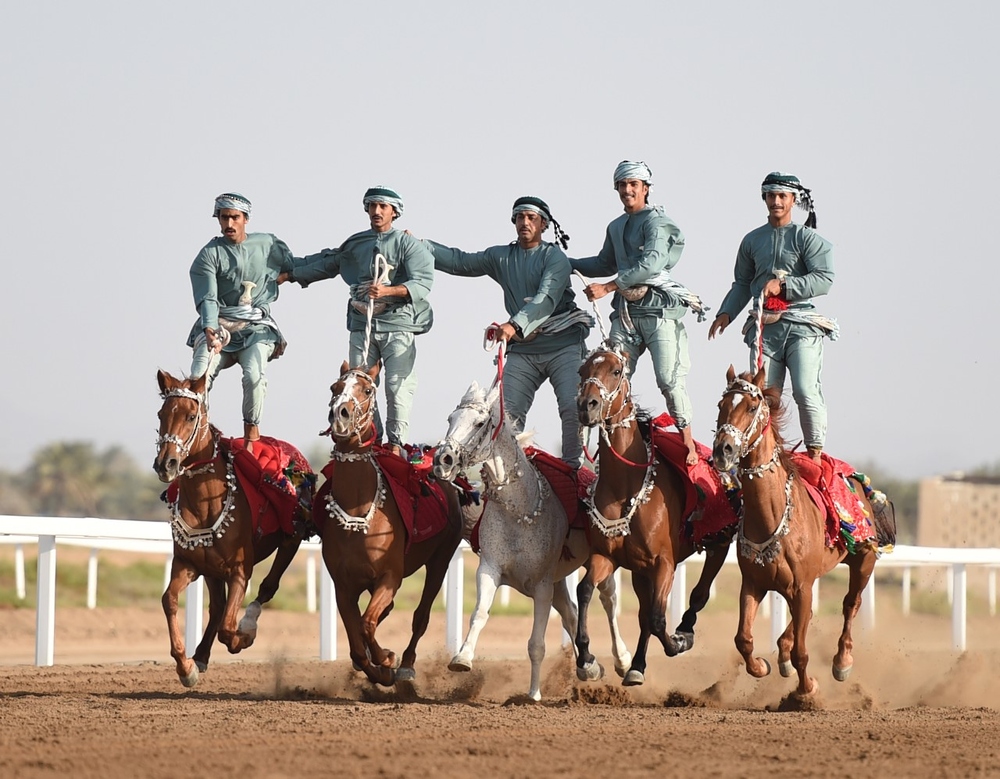 عرضة الخيل والإبل