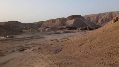 محمية الدبابية