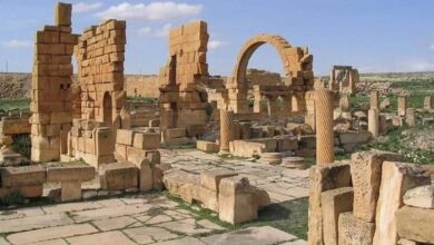 حيدرة التونسية