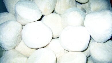 الجـمـيـد الأردنـي