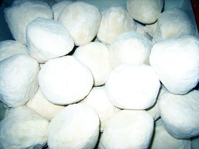 الجـمـيـد الأردنـي