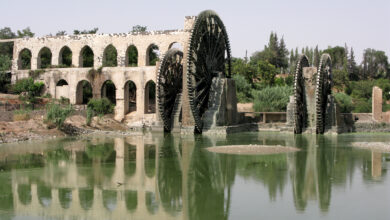 نواعير العاصي