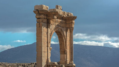 زانة البيضاء