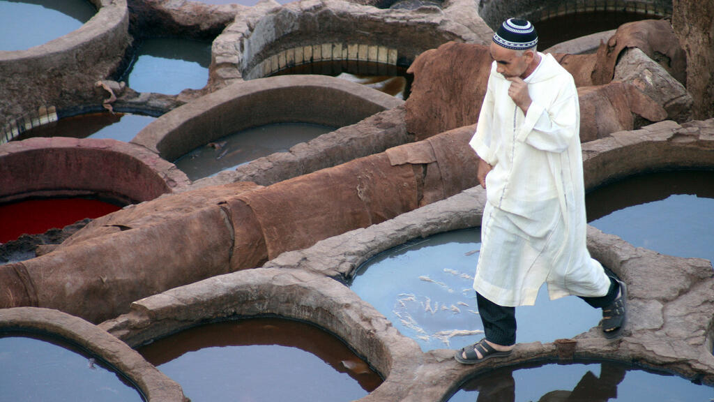 الدباغة التقليدية